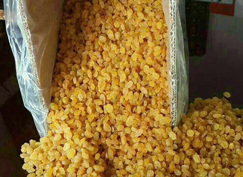 تصویر 4 از قیمت کشمش تیزابی ملایر + خرید باور نکردنی